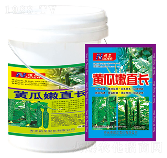 �S����ֱ�L �R������