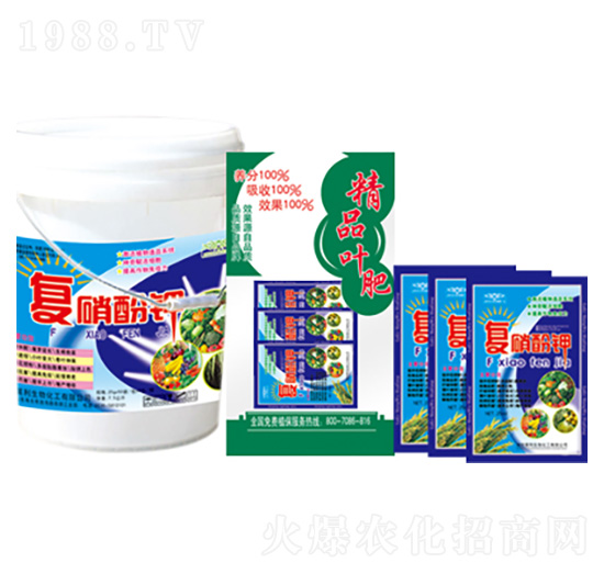 ��(f��)�����c �R������