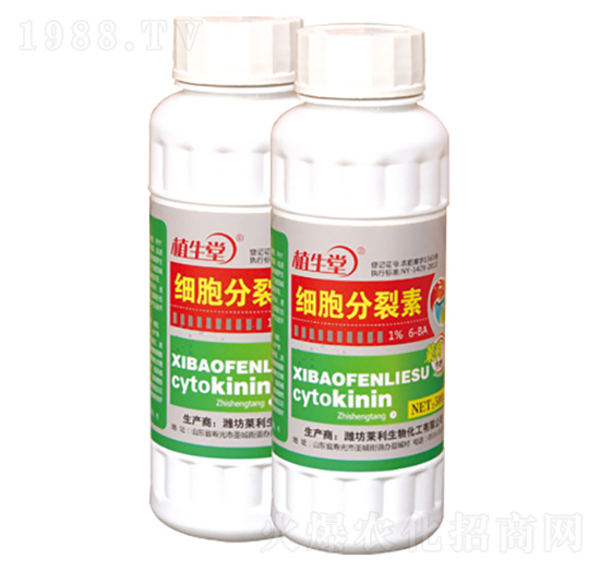 ���������� ֲ���� �R������