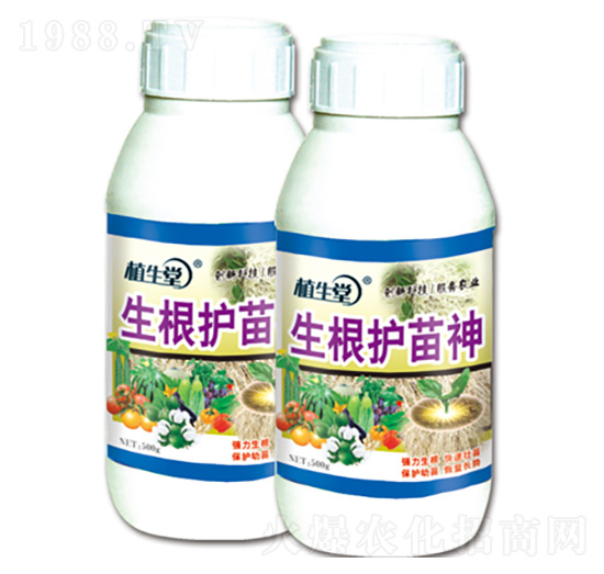 �����o(h��)���� ֲ���� �R������