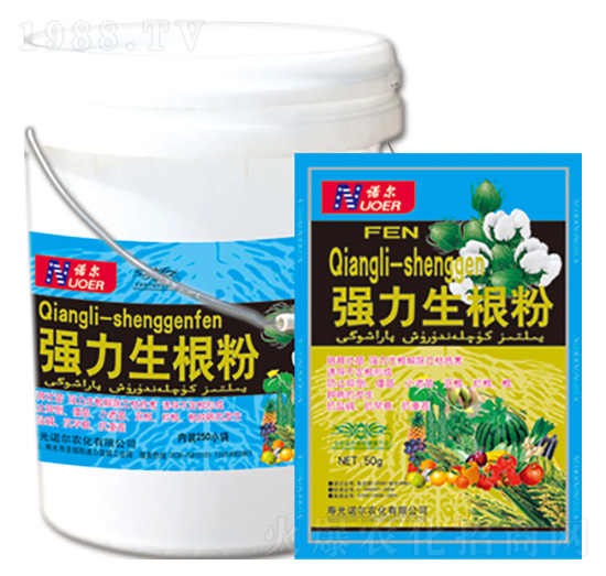 ���������� �R������