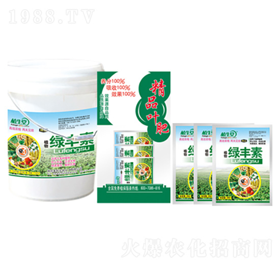 �G�S�� ֲ���� �R������