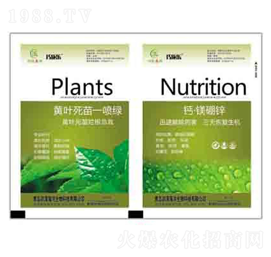 黃葉死苗一噴綠+鈣·鎂硼鋅 潤(rùn)澤