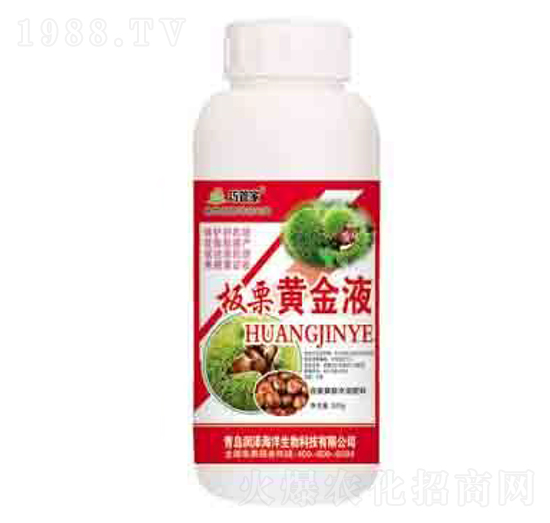 板栗黃金液 巧管家 潤澤