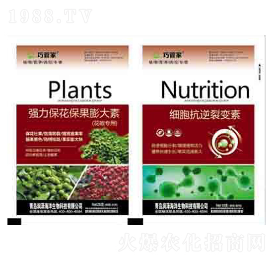 強力?；ū９虼笏?細胞抗逆裂變素 潤澤