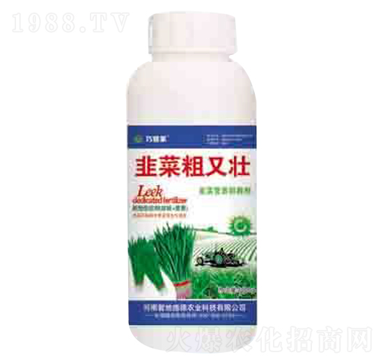 韭菜粗又壯 潤澤