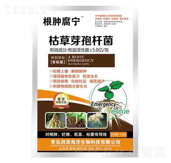 �ݲ�ѿ�ߗU�� ���[���� ����