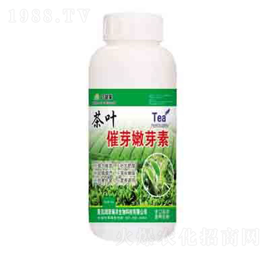 茶葉催芽嫩芽素 潤澤