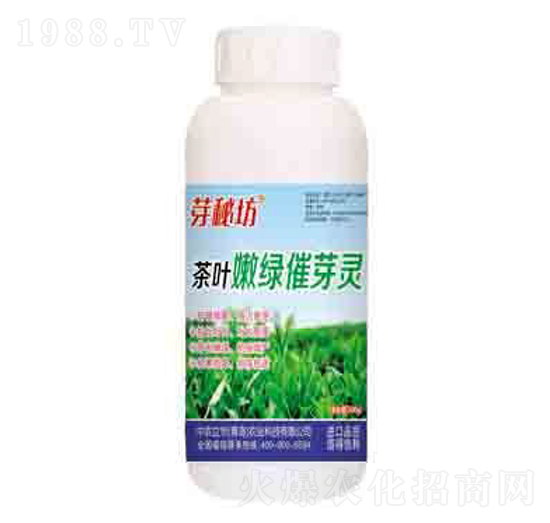 茶葉嫩綠催芽靈 芽秘坊 潤澤