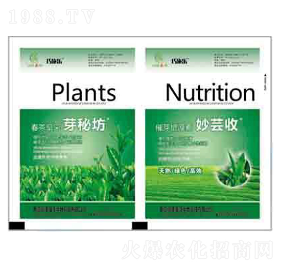 春茶早采芽秘方+催芽增厚素 潤澤