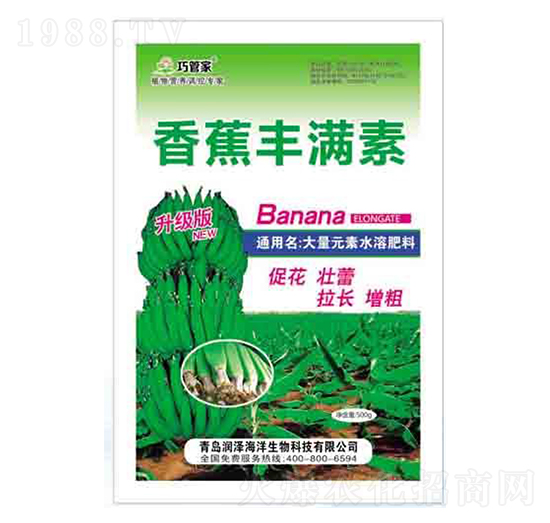 �㽶�S�M�� �ɹܼ� ����