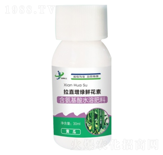 黃瓜專用拉直含氨基酸水溶肥料 增綠鮮花素 金牌化工