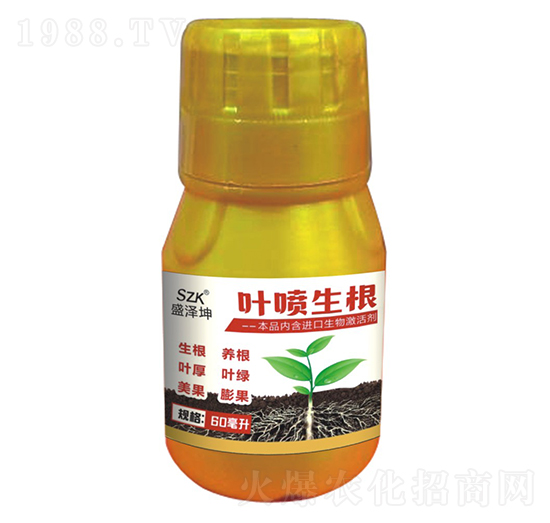 葉噴生根 盛澤坤