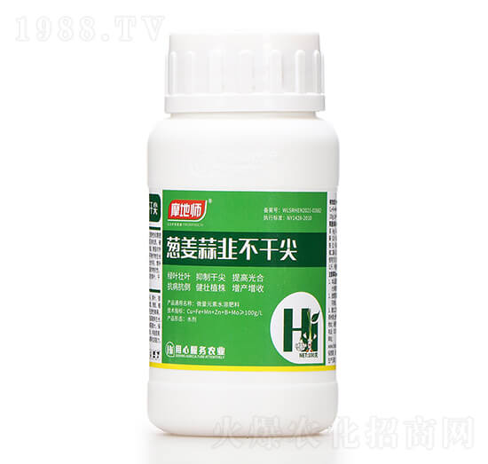 蔥姜蒜韭不干尖 摩地師