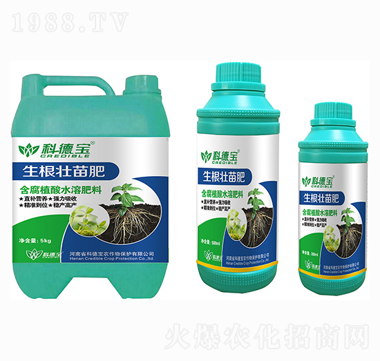生根壯苗肥-科德寶
