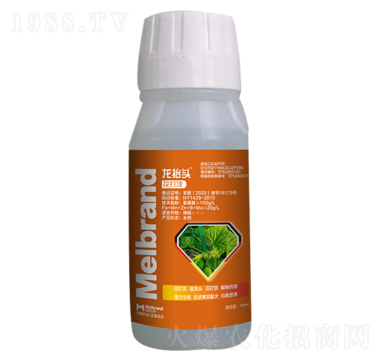 花打頂 龍?zhí)ь^ 美樂(lè)邦