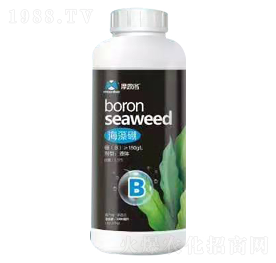 海藻硼 摩恩洛