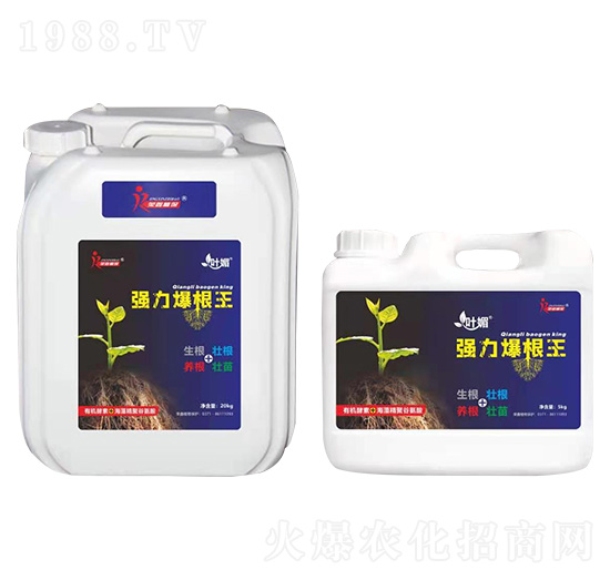 強(qiáng)力爆根王-葉媚-榮鑫植保