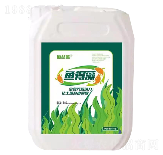 魚(yú)得藻 海絲藍(lán)