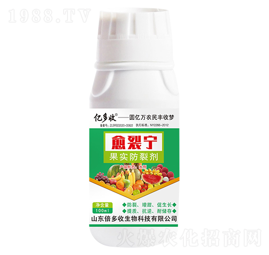 �������ф� ���ь� ������