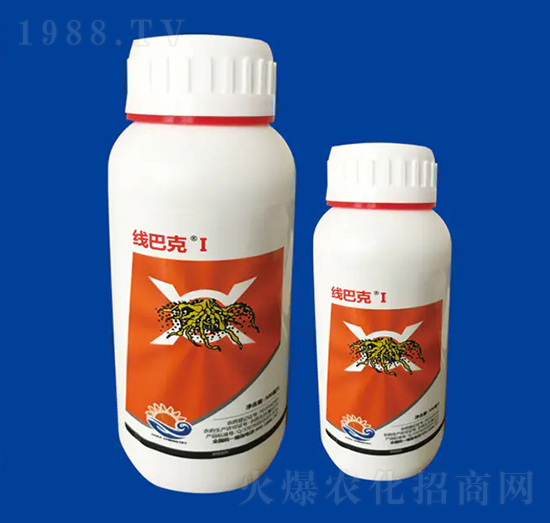 20%����� ���Ϳ�I ��Ƚ���W