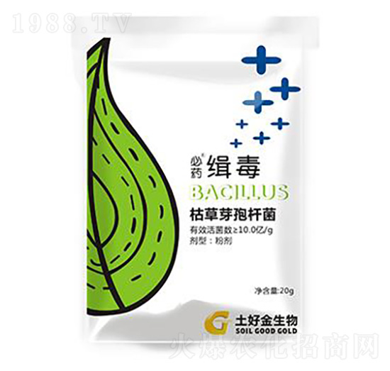 20g���� ���ý�