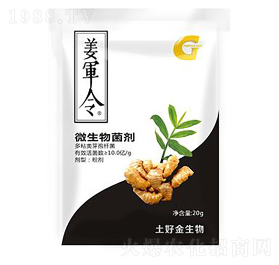 20g��܊�� ���ý�