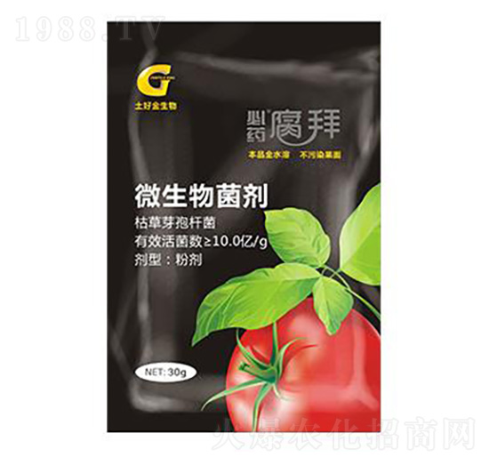 30g΢������� ���� ���ý�