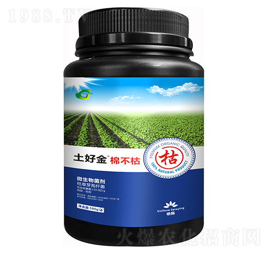 �޲��� ���ý�