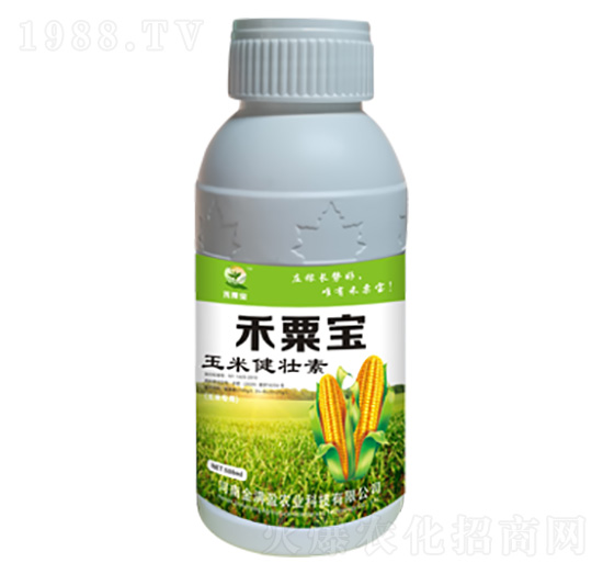 玉米健壯素 禾栗寶 金滿(mǎn)盈農(nóng)業(yè)