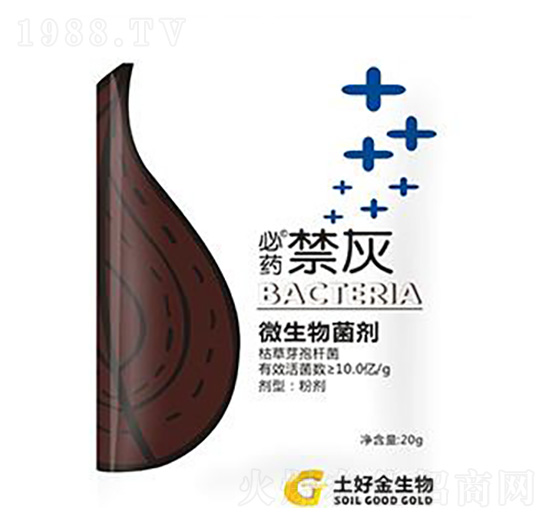 20g���� ���ý�