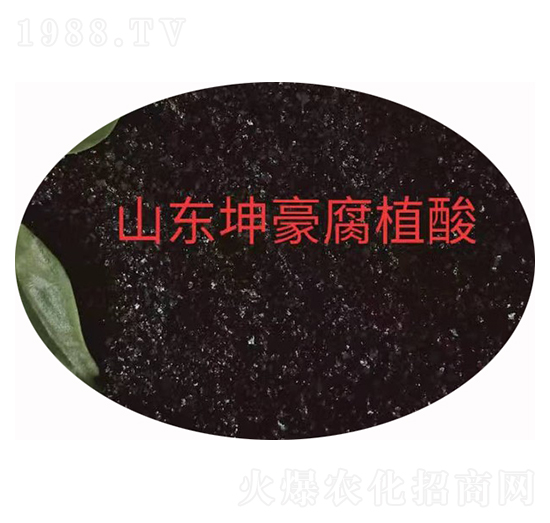 ��Ƭ�S����� ����