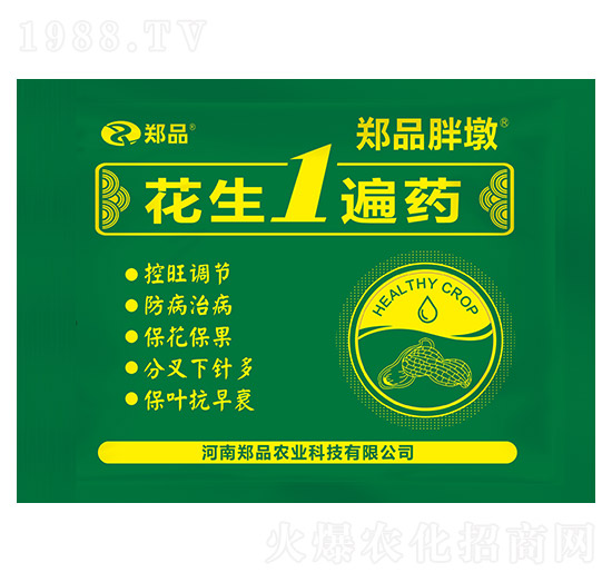 花生1遍藥 鄭品胖墩 鄭品