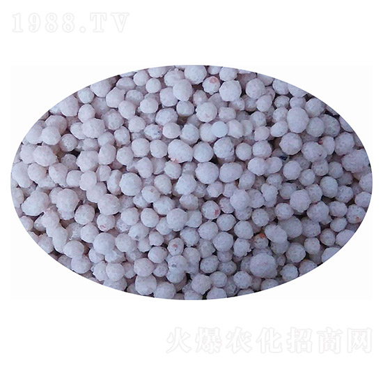 復(fù)合肥 李茂農(nóng)資