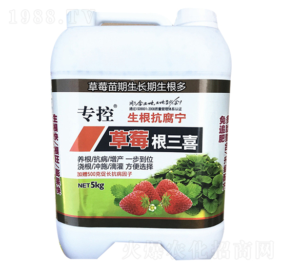 生根抗腐寧-草莓根三喜-苗哥農(nóng)化