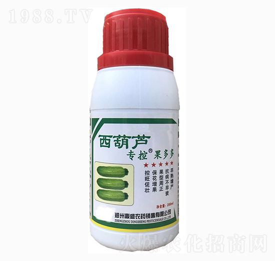 西葫蘆?？?果多多-苗哥農(nóng)化