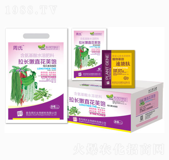 拉長嫩直花莢飽-周氏農化