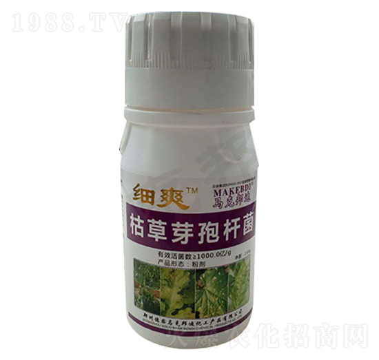 ƿ�b�ݲ�ѿ�ߗU��-��ˬ-�R�˰��