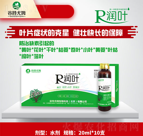 潤葉-黃葉、花葉、小葉變綠葉-谷特尤姆