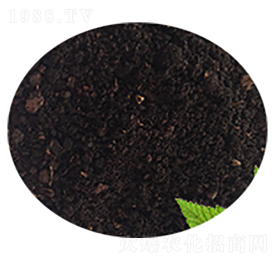 草灰土-綠色田園