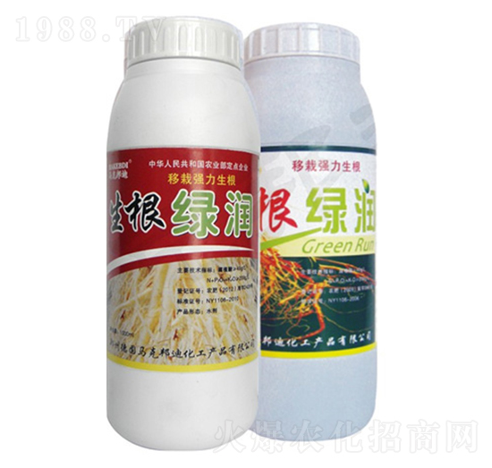 生根綠潤-馬克邦迪