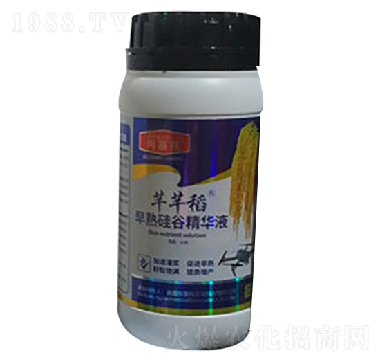 含氨基酸水溶肥 芊芊稻 隆利源生物