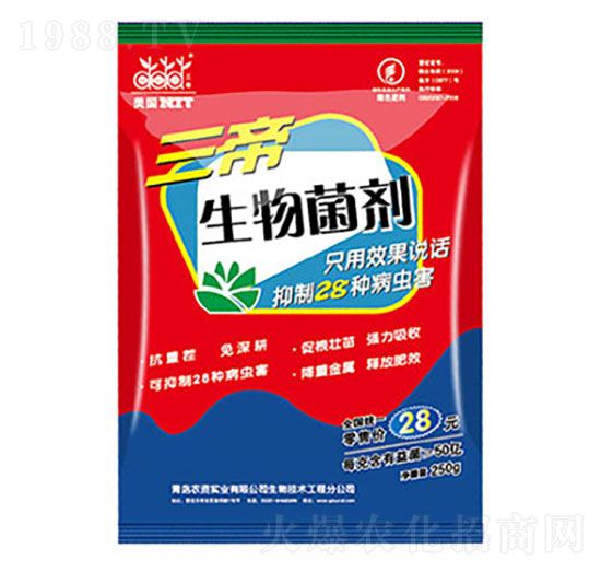 ����������� �����_