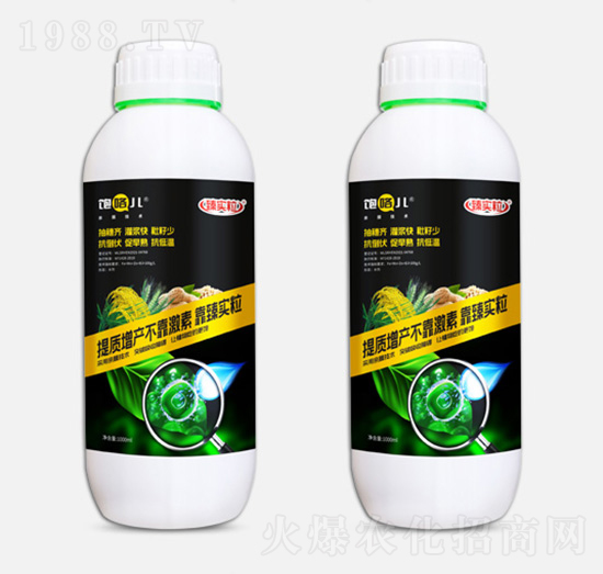 飽咯兒-臻實粒-蔚萊星