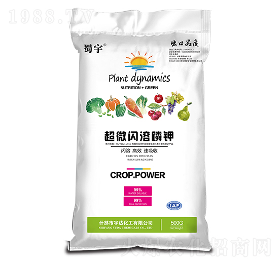 ��΢�W����� ���� ���_����