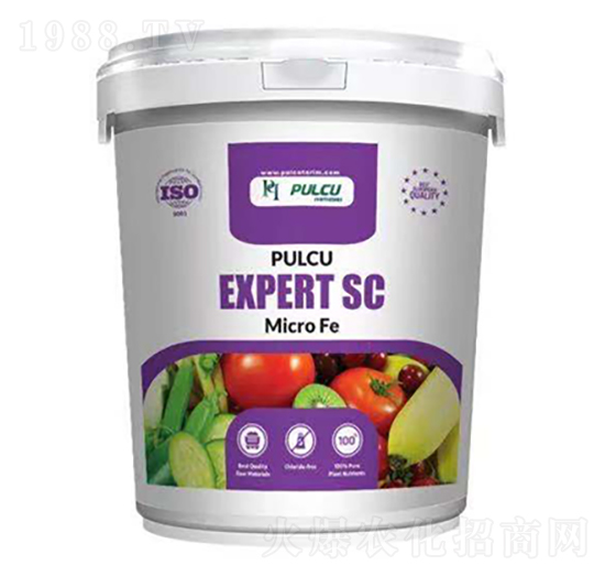 EXPERT AC 貝特普蘭