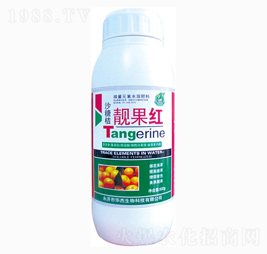 砂糖橘靚果紅-華杰生物