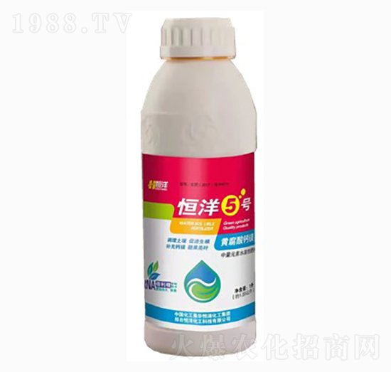 恒洋5號-恒洋化工