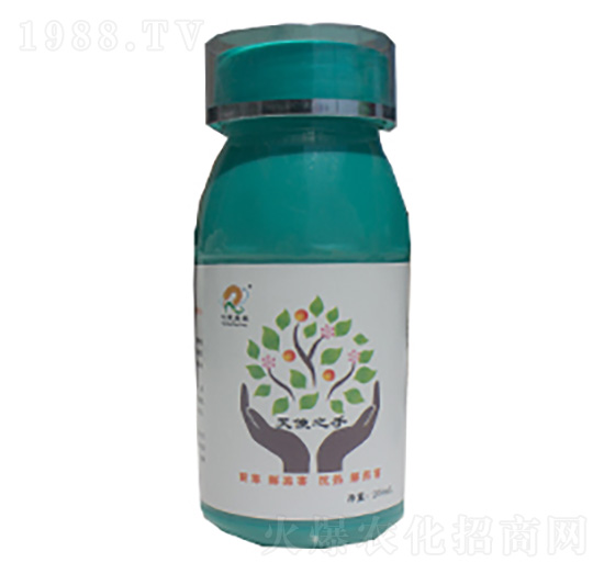 天使之手-仁禾鼎豐