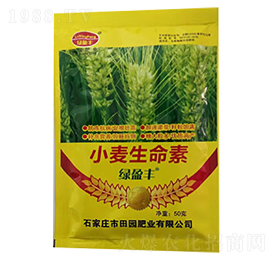 小麥生命素-田園肥業(yè)